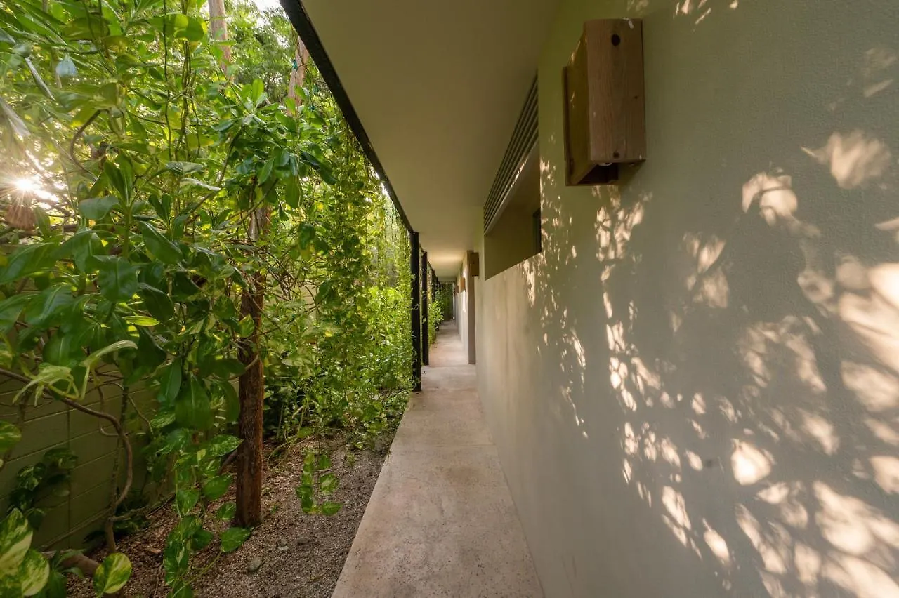 Apartament Casa Marisol Tulum